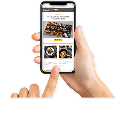 Trend Feast Email Newsletter